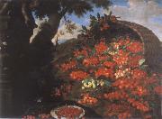 Bartolomeo Bimbi Cherries USA oil painting reproduction